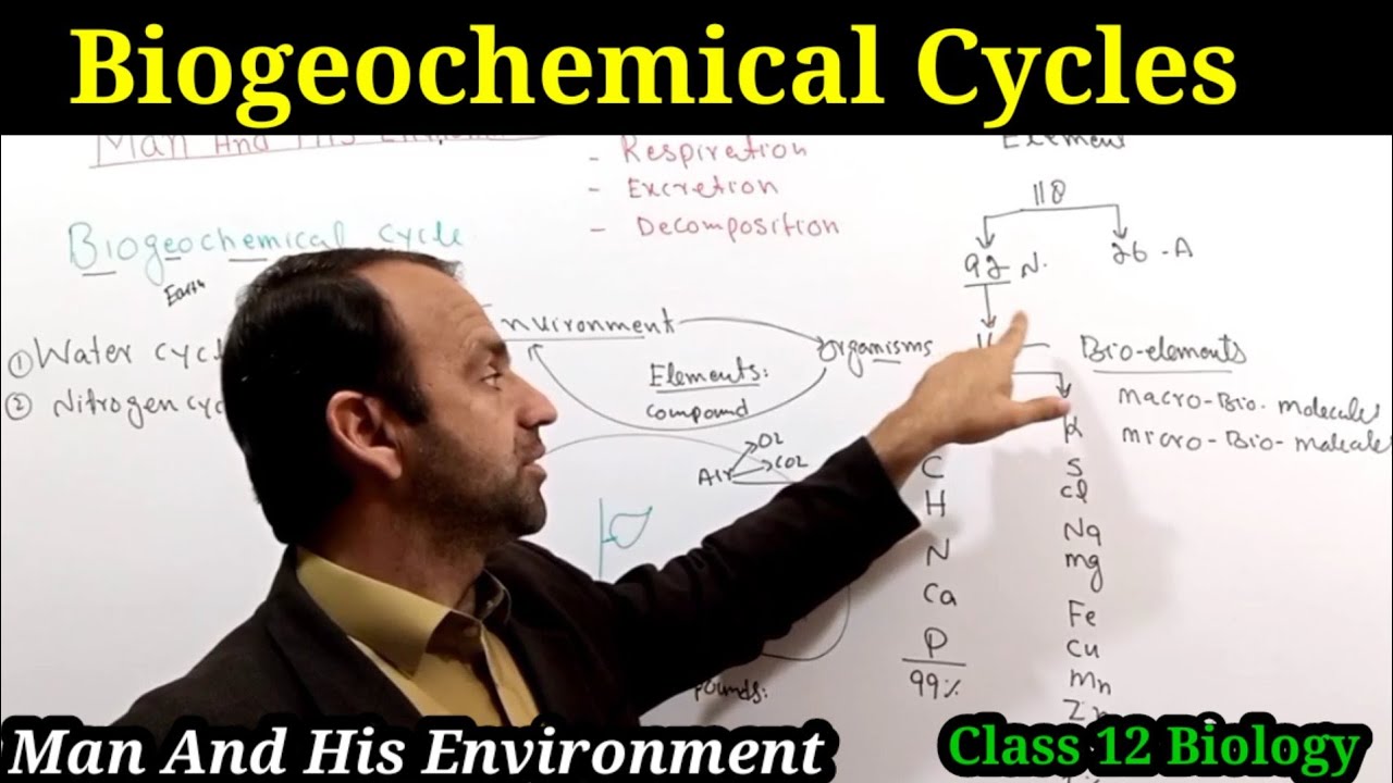 Biogeochemical cycles | Bio-elements | Man and His Environment.