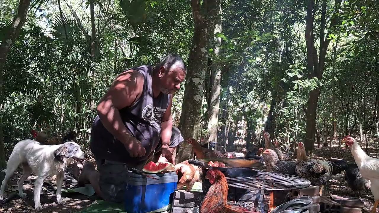 Cozinhando no mato acompanhado pelas galinhas 