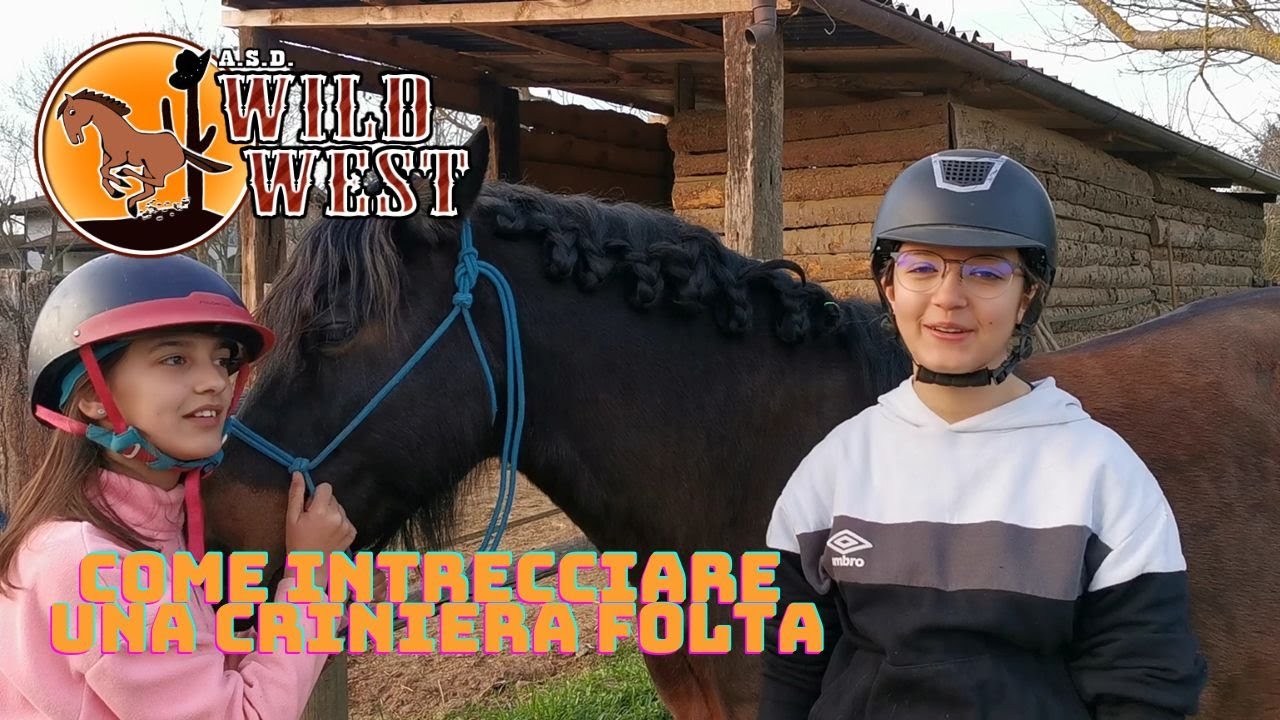 Come intrecciare la criniera del cavallo