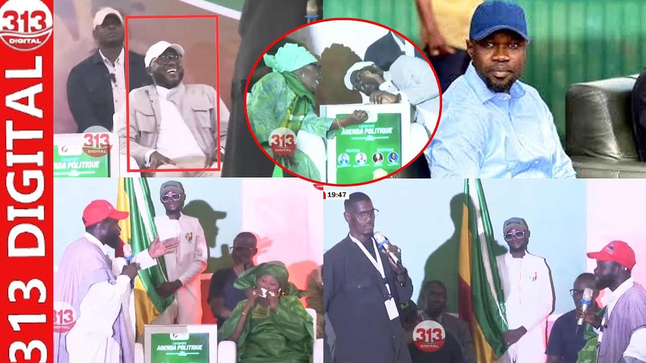 Sonko, El Malick, Yacine Fall s’éclatent de rire sur les propos de Djiby Séye et Tapha Touré «Sonko