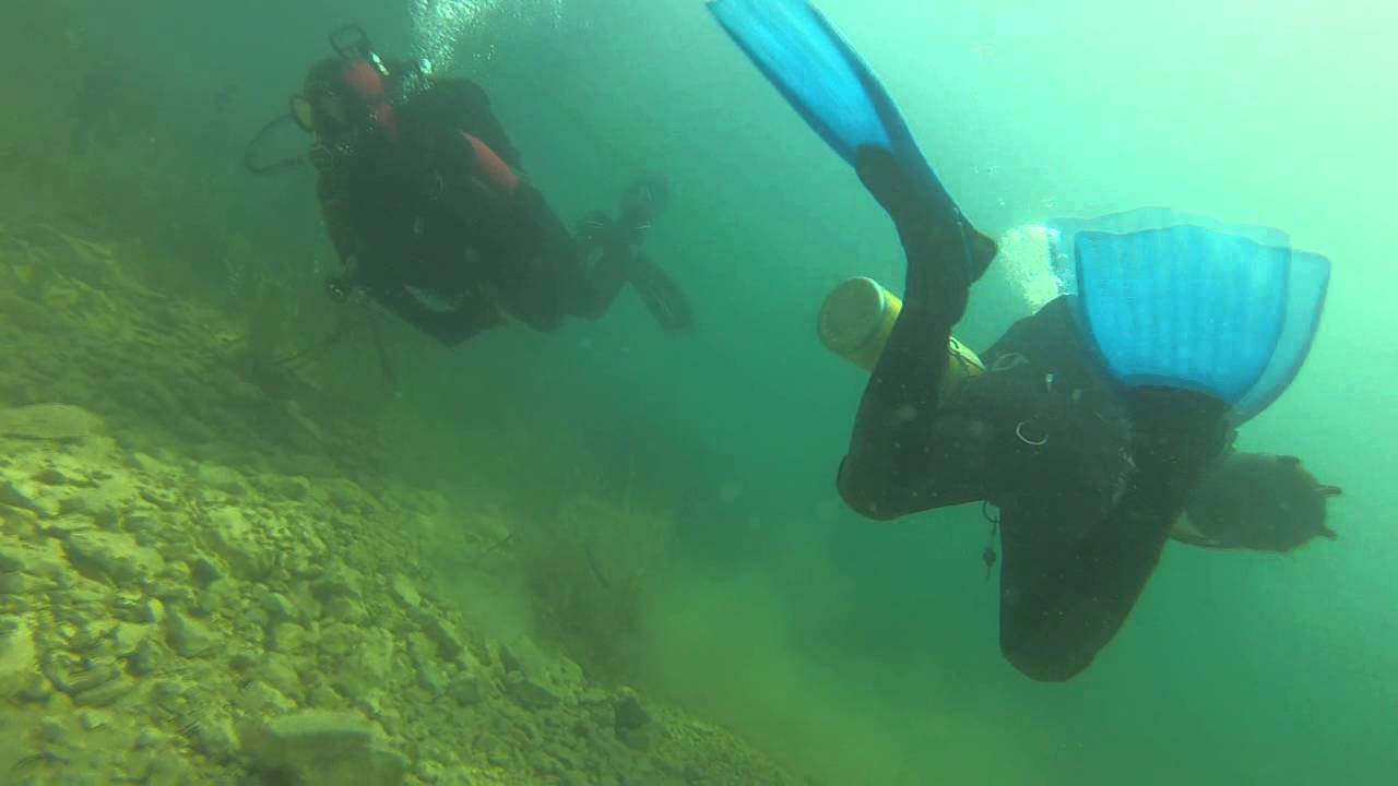 Ronjenje   Zaovinsko jezero III (2013)