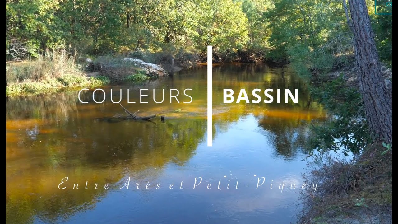 Couleurs Bassin :  entre Arès et Petit Piquey (Bassin d'Arcachon, Gironde)