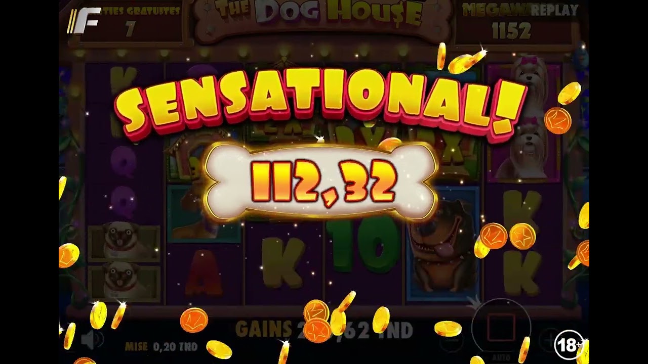 👈 لعب بـ200 مليم   The Dog House Megaways 🎉  ربح مليون  و188 دينار / fertoonabet.tn