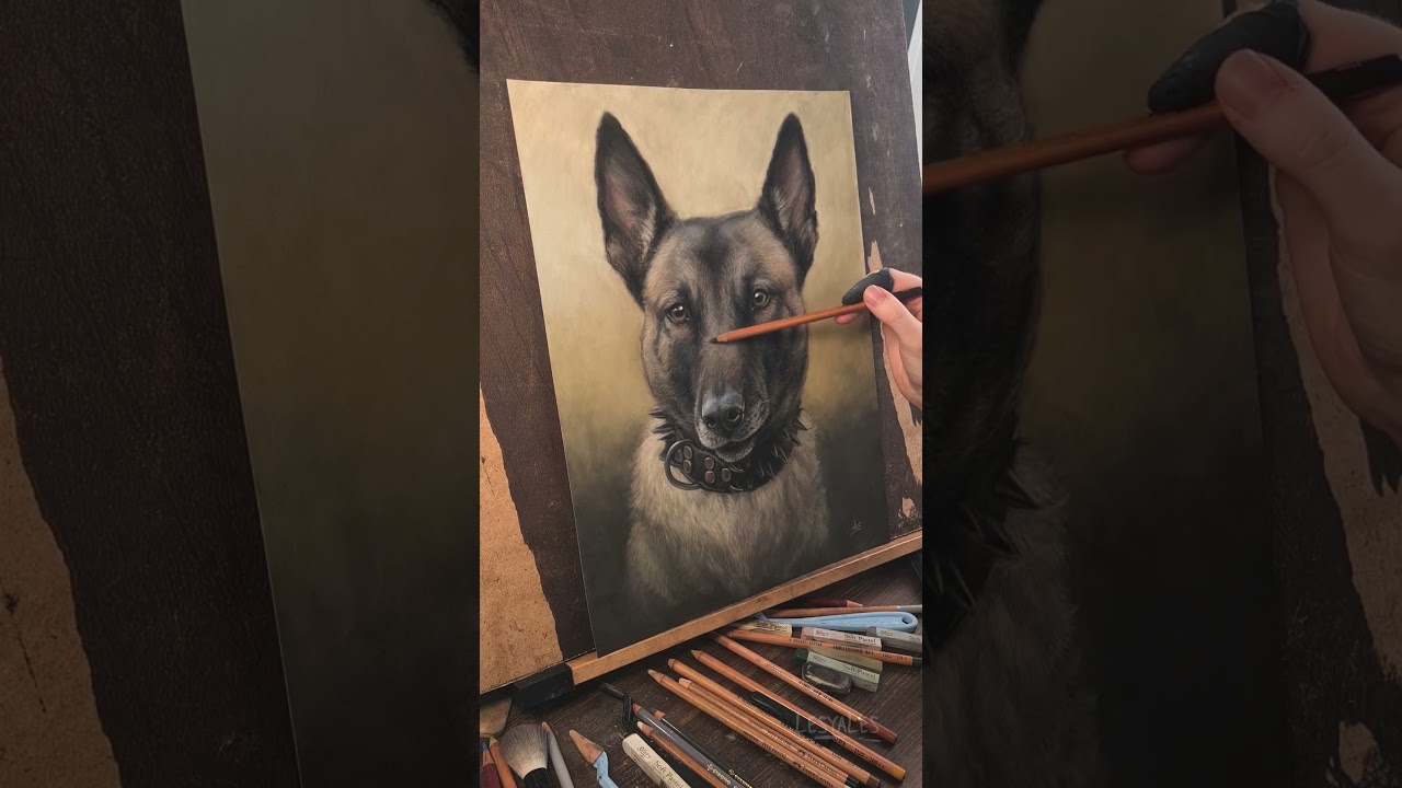 Портрет Малинуа Бельгийская Овчарка / Сухая пестель / LesyaLes / Lesya Kovalenko  #drawing #dog