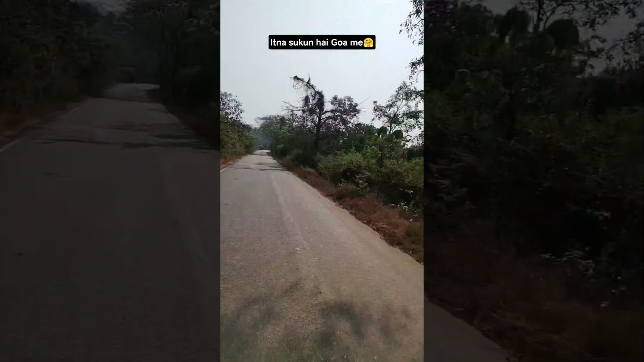 Itna sukun hai Goa me🌴🤗