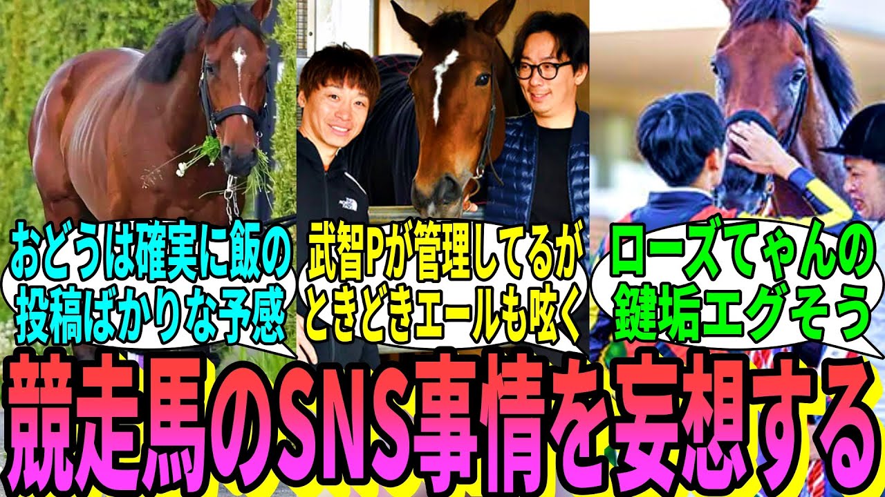 【競馬の反応集】「競走馬のSNS事情を妄想してみる」に対する視聴者の反応集