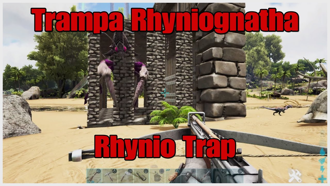 Trampa Para Rhyniognatha / Rhyniognatha Trap