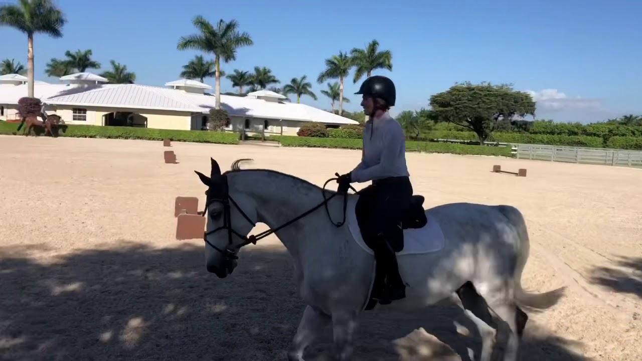 The Madden Method - Beezie flats Chic Hin