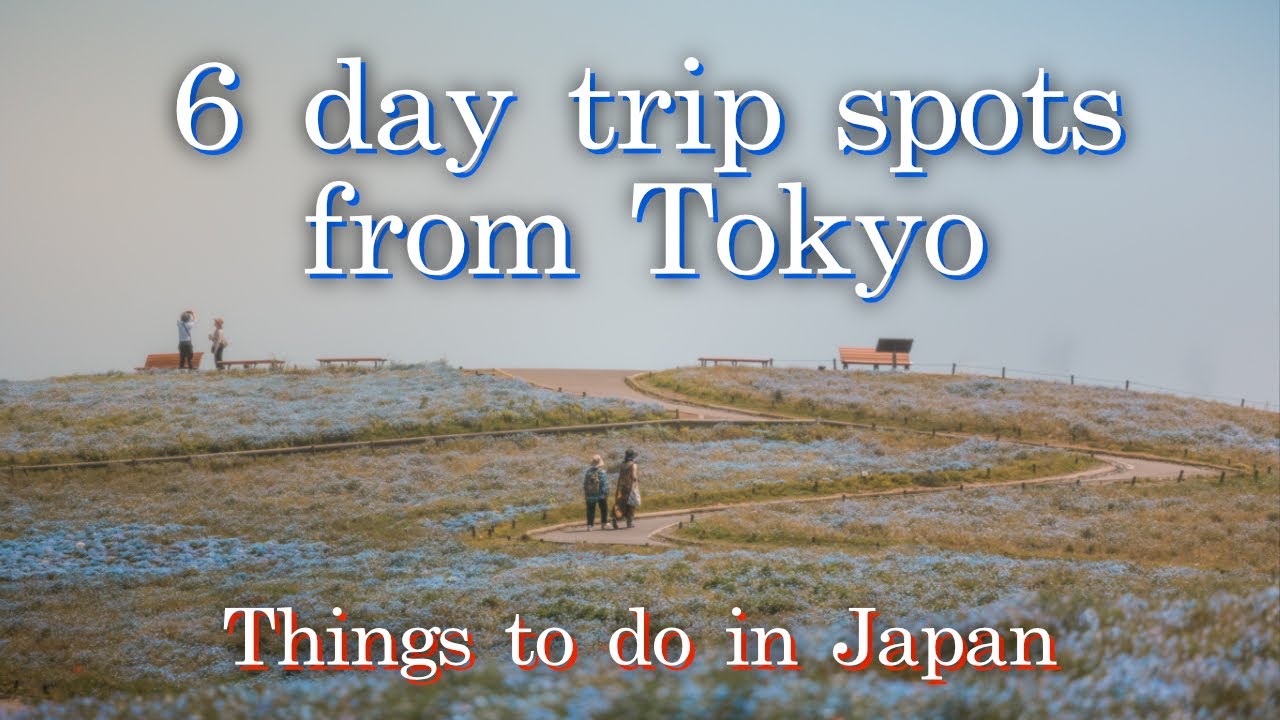 6 day trip locations from Tokyo | Japan Vlog pt 3 | Kawagoe, Hakone, Hitatchi, Ashikaga, Yokohama