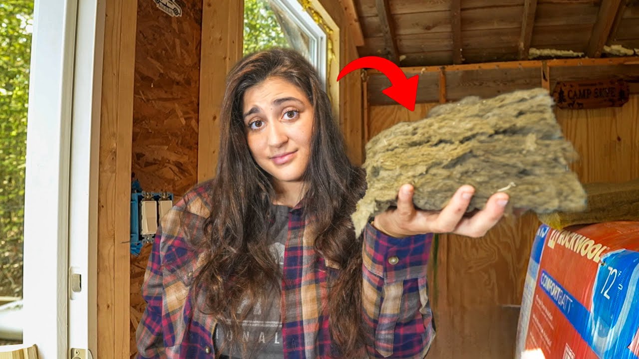 Can I Fix This Abandoned Cabin Before Winter?