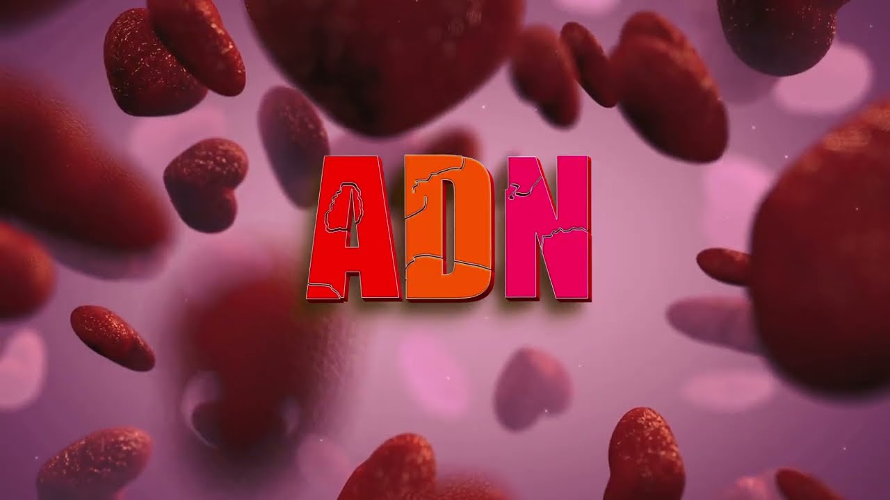 Incredible_Zeus_-_ADN_[ Video Lyrics ]