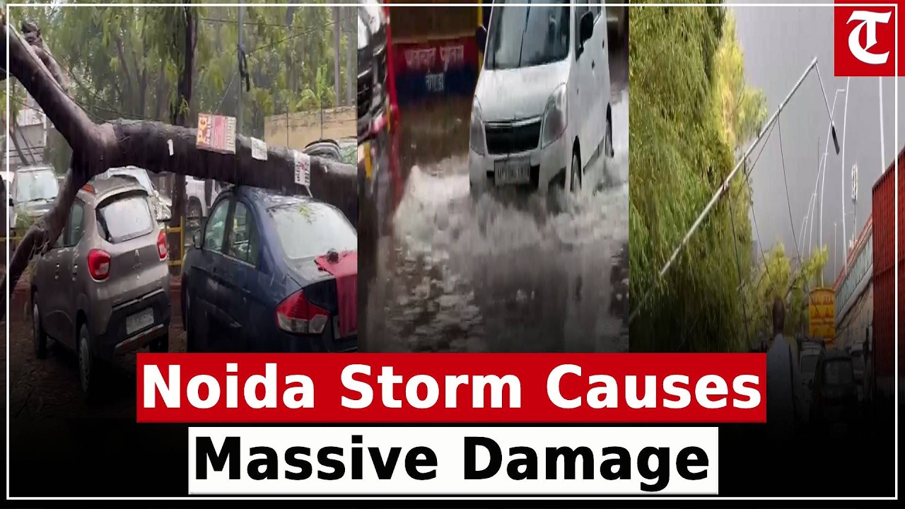 Noida Rain Wreaks Havoc: Trees Uprooted, Cars Damaged, City Faces Severe Waterlogging