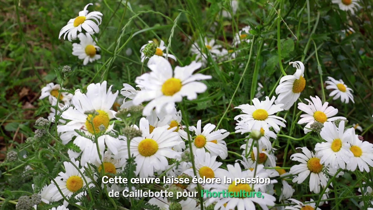 Voyage en Normandie Impressionniste #1 - Musée des Impressionnismes de Giverny