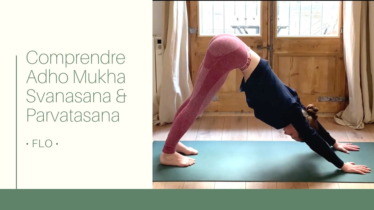 Comprendre l'Adho Mukha Svanasana & Parvatasana et les faire correctement • FLO •