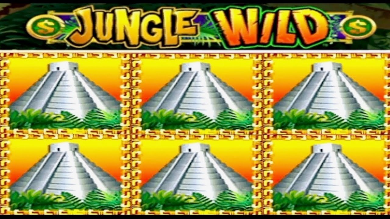 ★★JACKPOT HANDPAY★★$37 BETS★★JUNGLE WILD HIGH LIMIT SLOT MACHINE BUENO DINERO MUSEUM SLOTS WMS