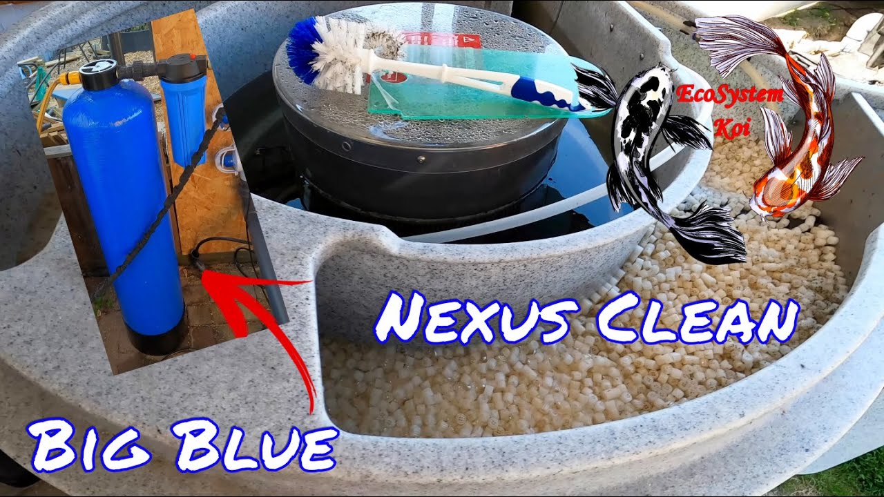 Nexus cleaning, a look at Big Blue water Purifier/Dechlorinator, Koi pond filter cleaning, EZ Ponds