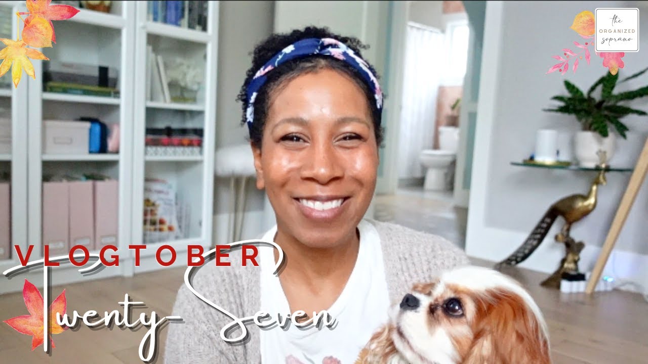Container Store & HomeGoods Haul! | Vlogtober Finale 🍁
