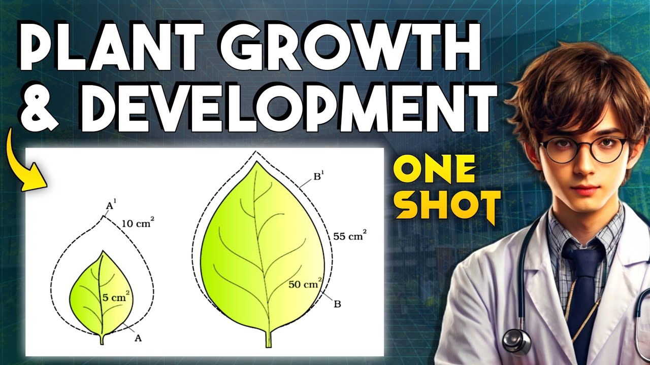 Plant Growth And Development ONE SHOT (with Tricks)🔥 | Class 11 Biology Oneshot For NEET 2025
