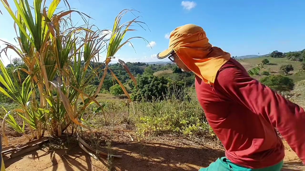MAS UM DIA LUTA AQUI NA CHÁCARA COM MUITO CALOR ♨️