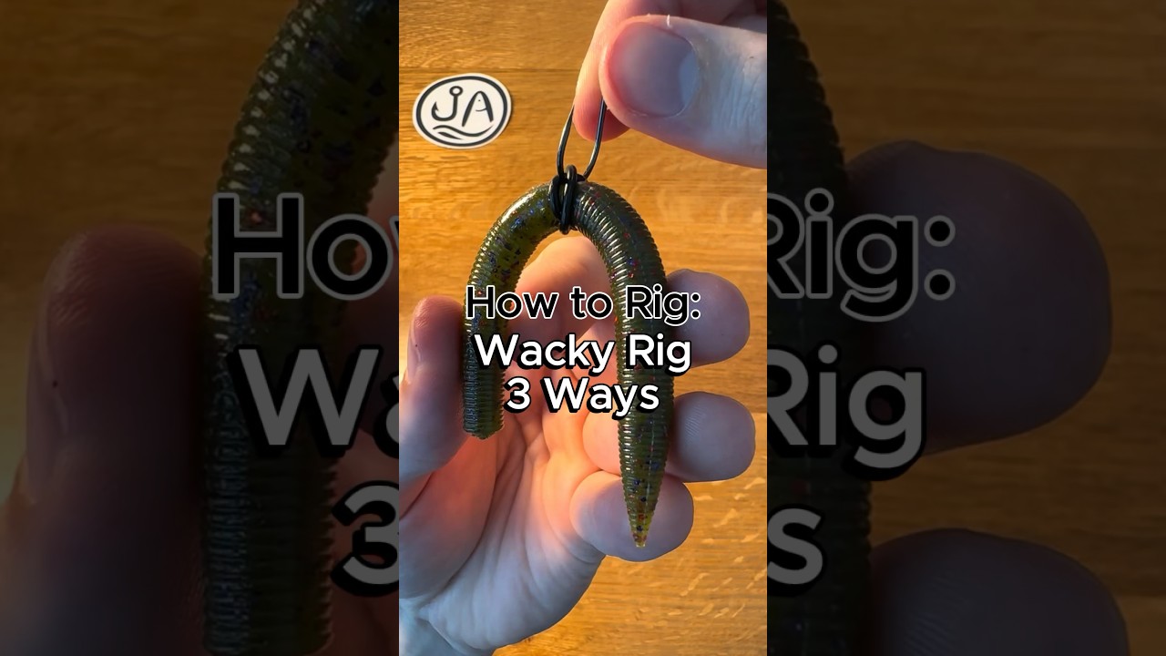 How to rig a wacky rig three ways #fishing #fishingtips #howto #bassfishing #largemouthbass