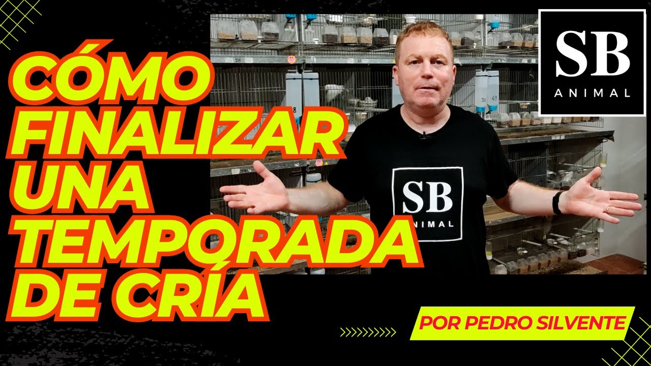 CÓMO FINALIZAR UNA TEMPORADA DE CRÍA