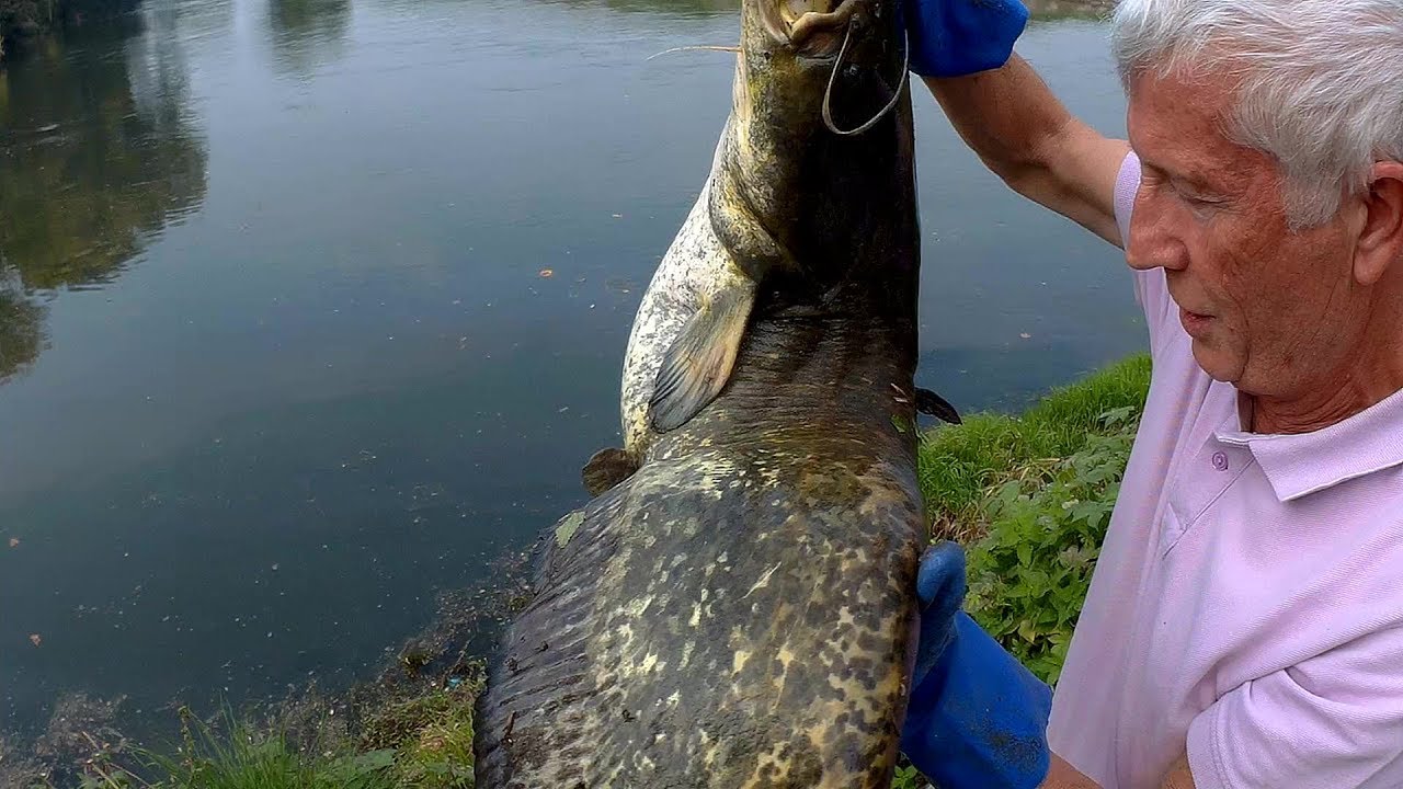 - pesca al siluro con la boa