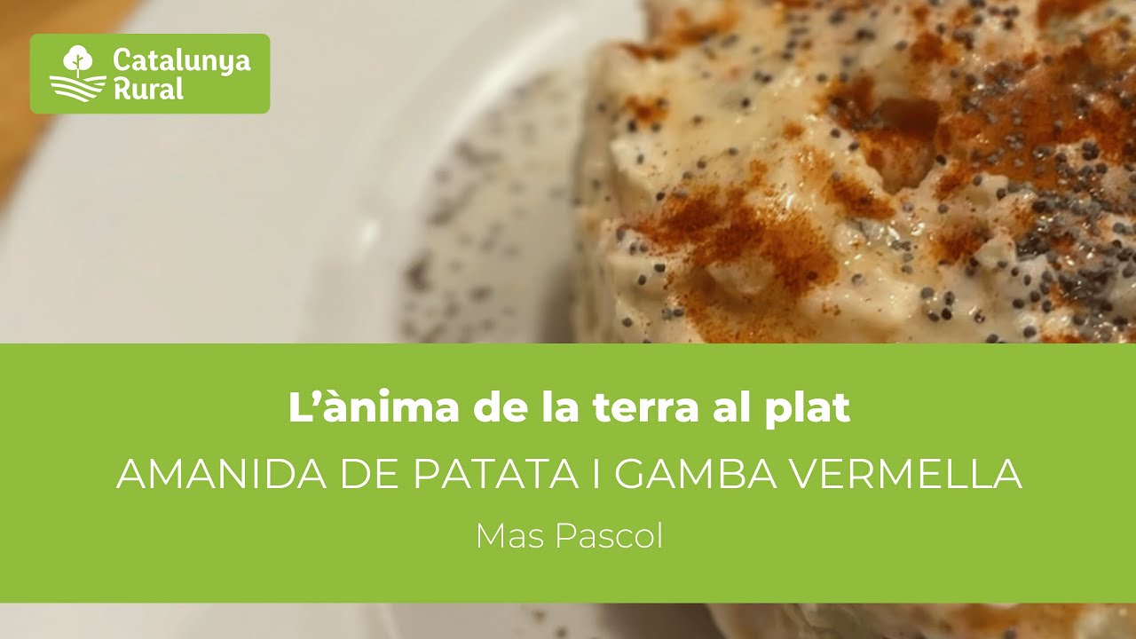 Recepta: Amanida freda de patata i gamba vermella - Can Pascol | L'ànima de la terra al plat