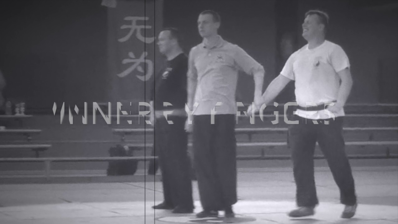 WuWei Witzig Tuishou Push Fingers Pushands