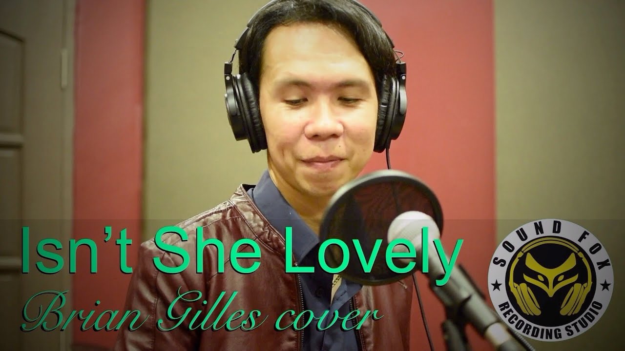 Isn&rsquo;t She Lovely | Brian Gilles cover