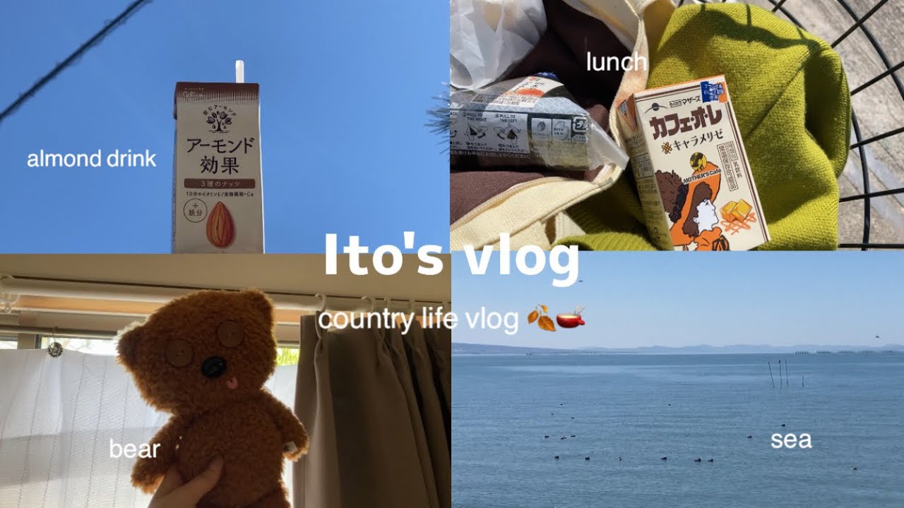 vlog:) 田舎暮らしの良いとこって何🍂🍨｜高校生｜模様替え｜