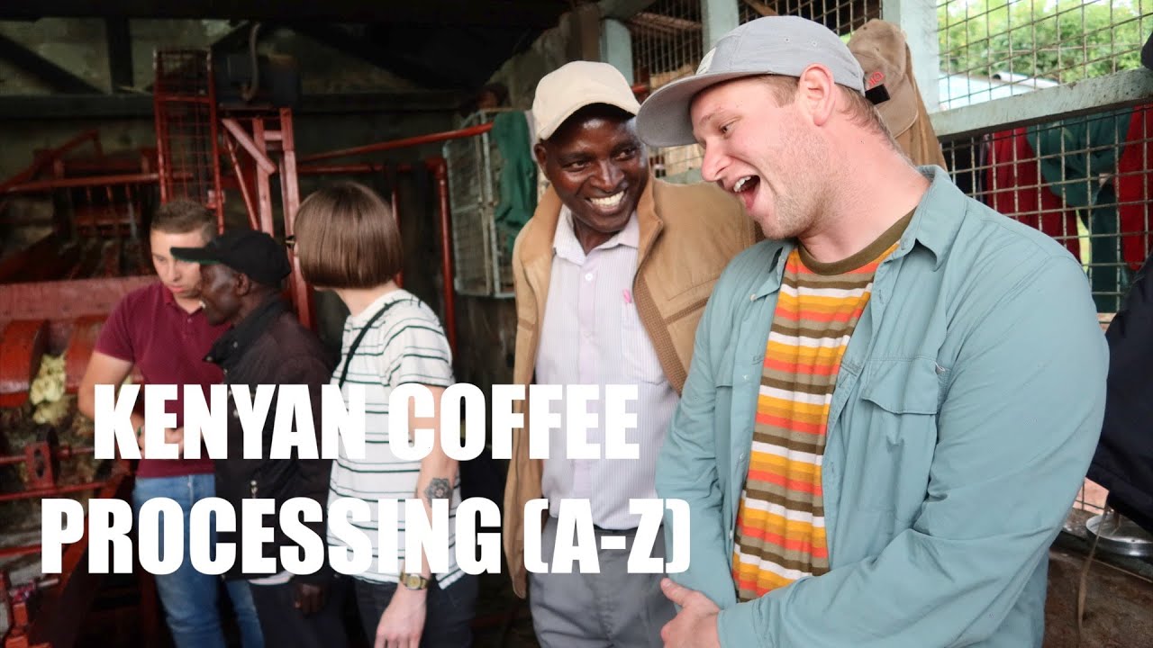Kenyan Coffee Processing A–Z | Cat & Cloud