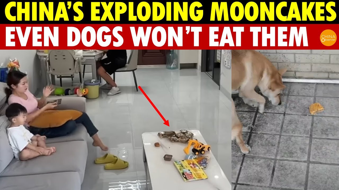 China’s Toxic Mooncakes Actually Exploded, Even Dogs Won’t Eat Them
