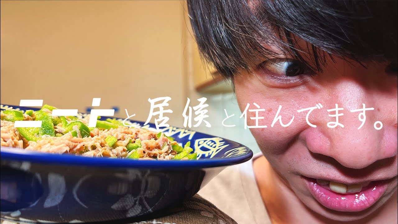 ニートが壊れた