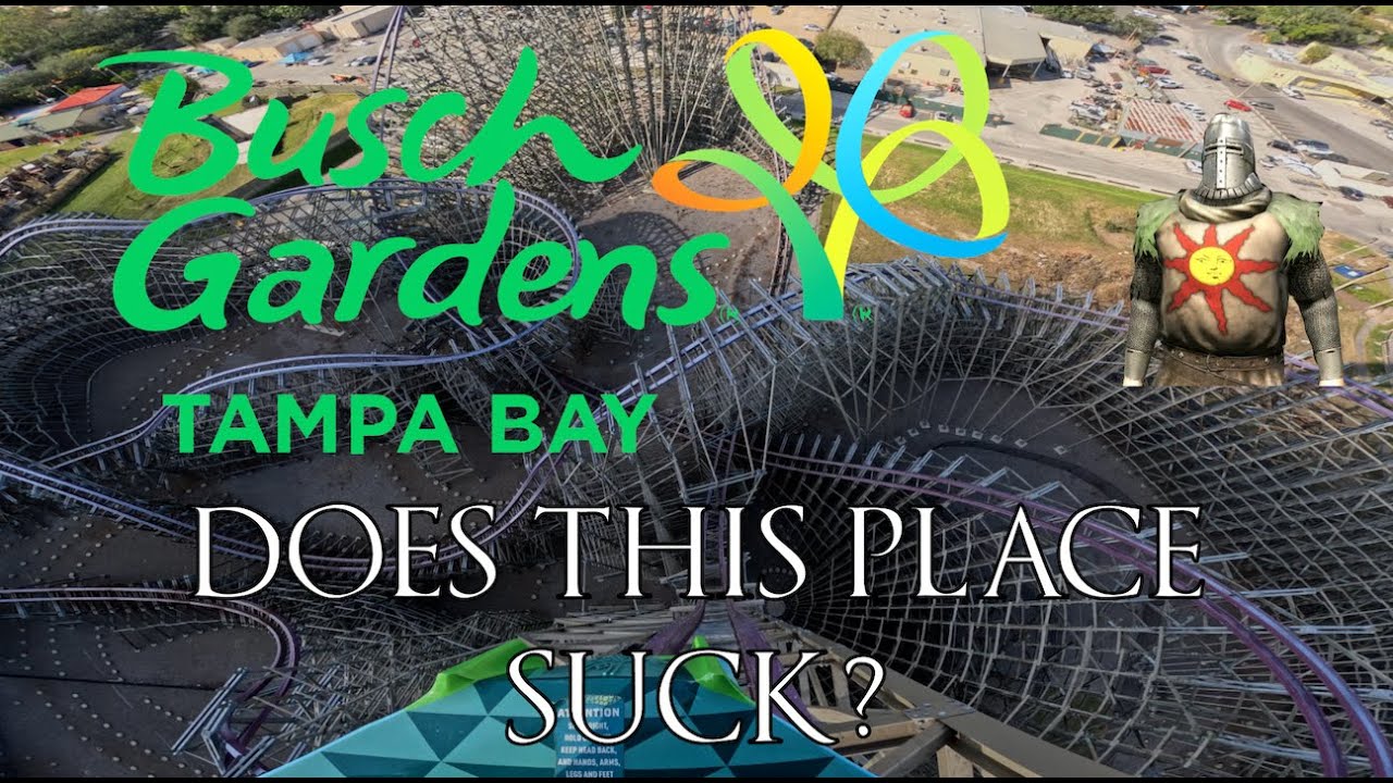 My Day at Busch Gardens Tampa Bay