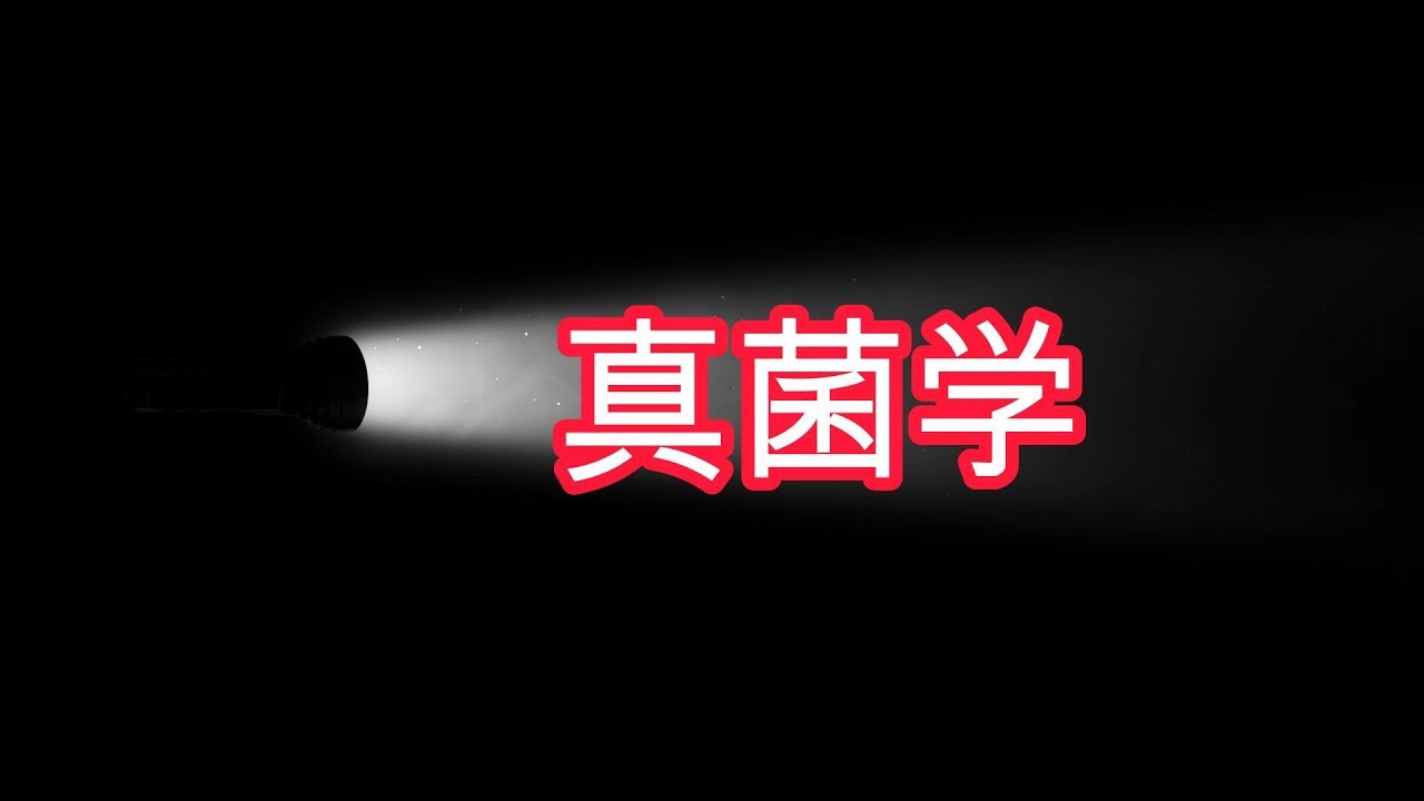 真菌学入门：探索神秘的真菌世界