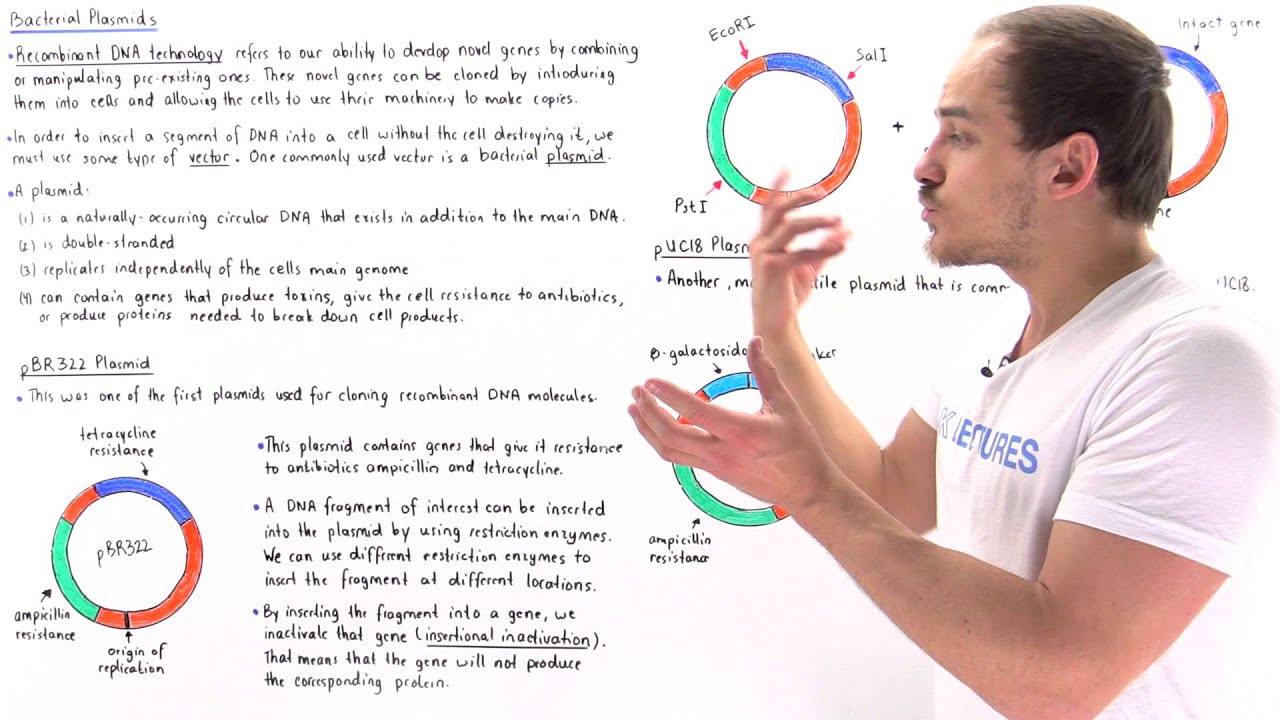 Plasmids and Recombinant DNA Technology
