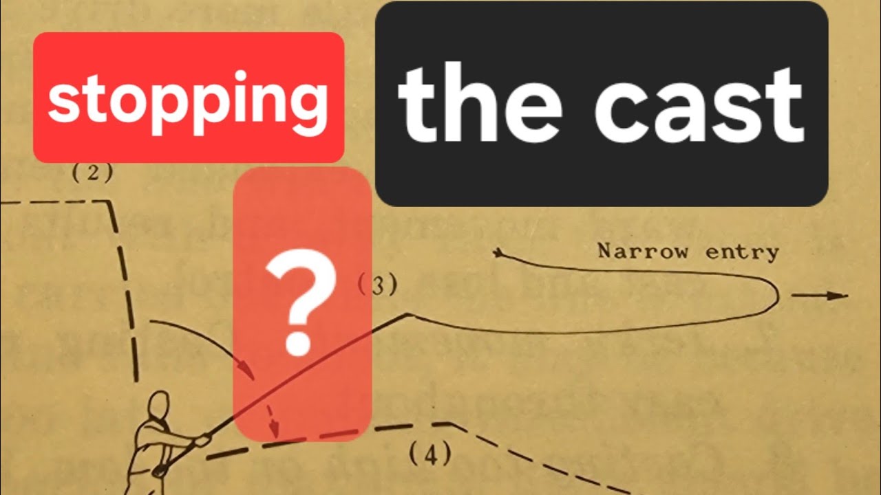 (Non) stopping the fly rod?  featuring steve rajeff and fly fish dan