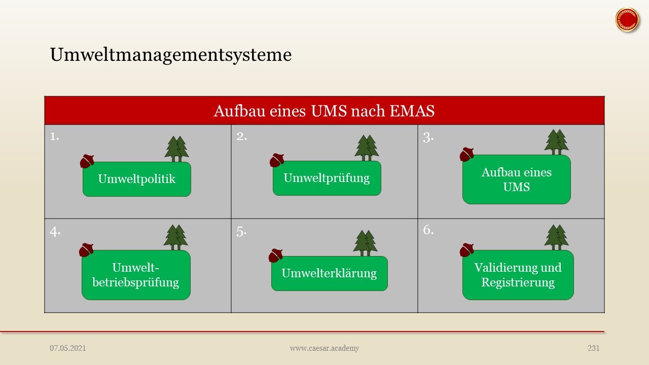Aufbau eines Umweltmanagementsystems - 👨🏼&zwj;🎓 EINFACH ERKL&Auml;RT 👩🏼&zwj;🎓