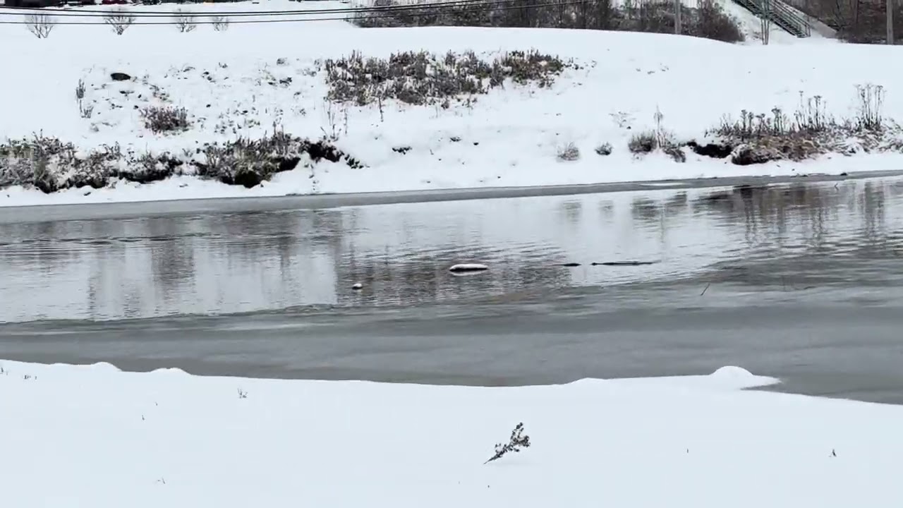 Pine Creek Walk Around Galeton Pa - First Snowfall 2025