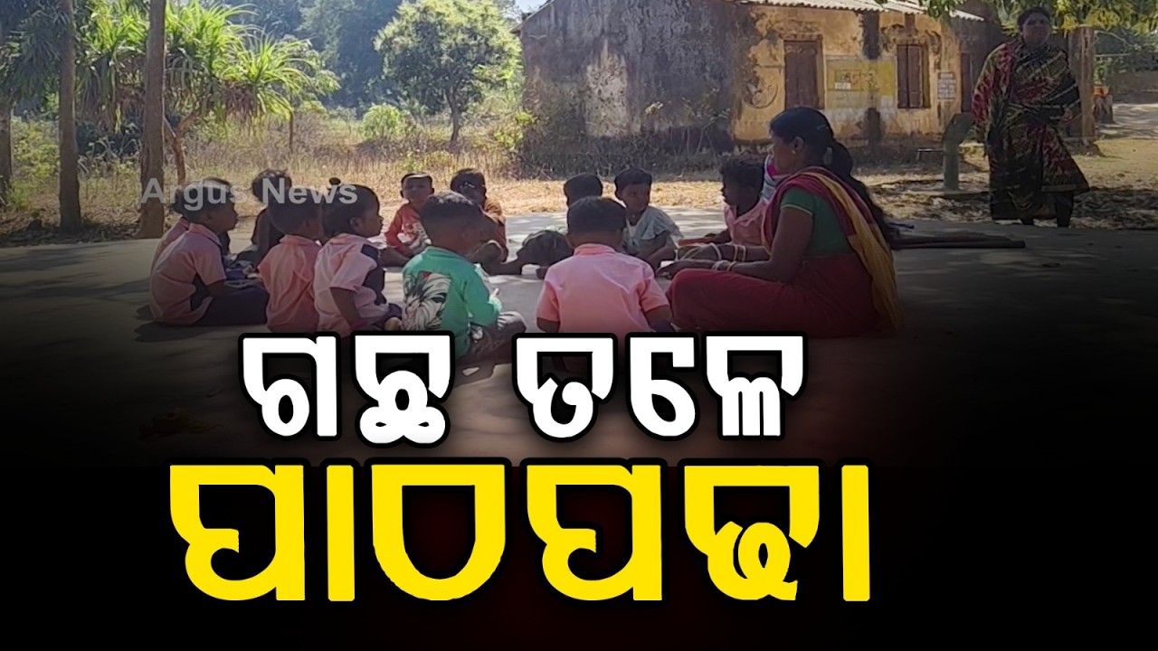 No Anganwadi Building? Classes Held Under Trees In Odisha | Argus News