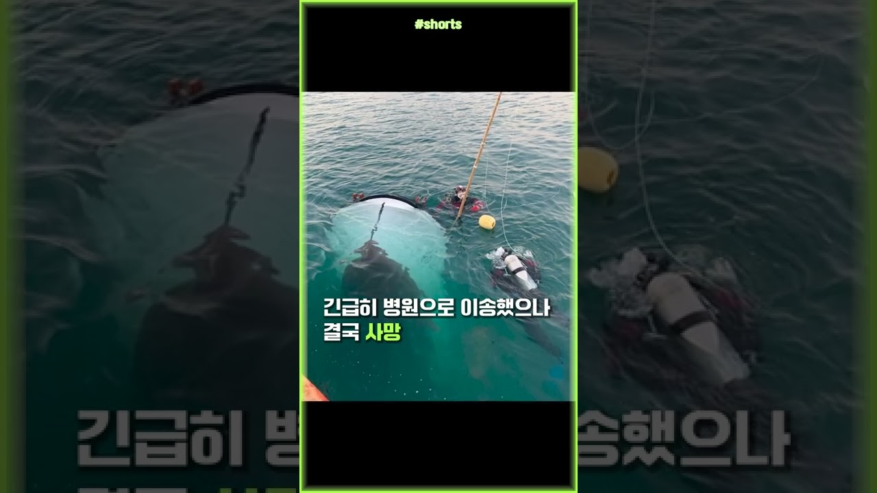 충돌에 침몰된 어선.. 선장 1명 사망 #shorts