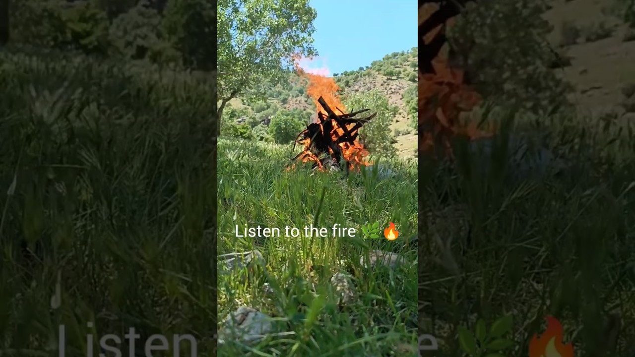 Listen to the fire 🌿🔥