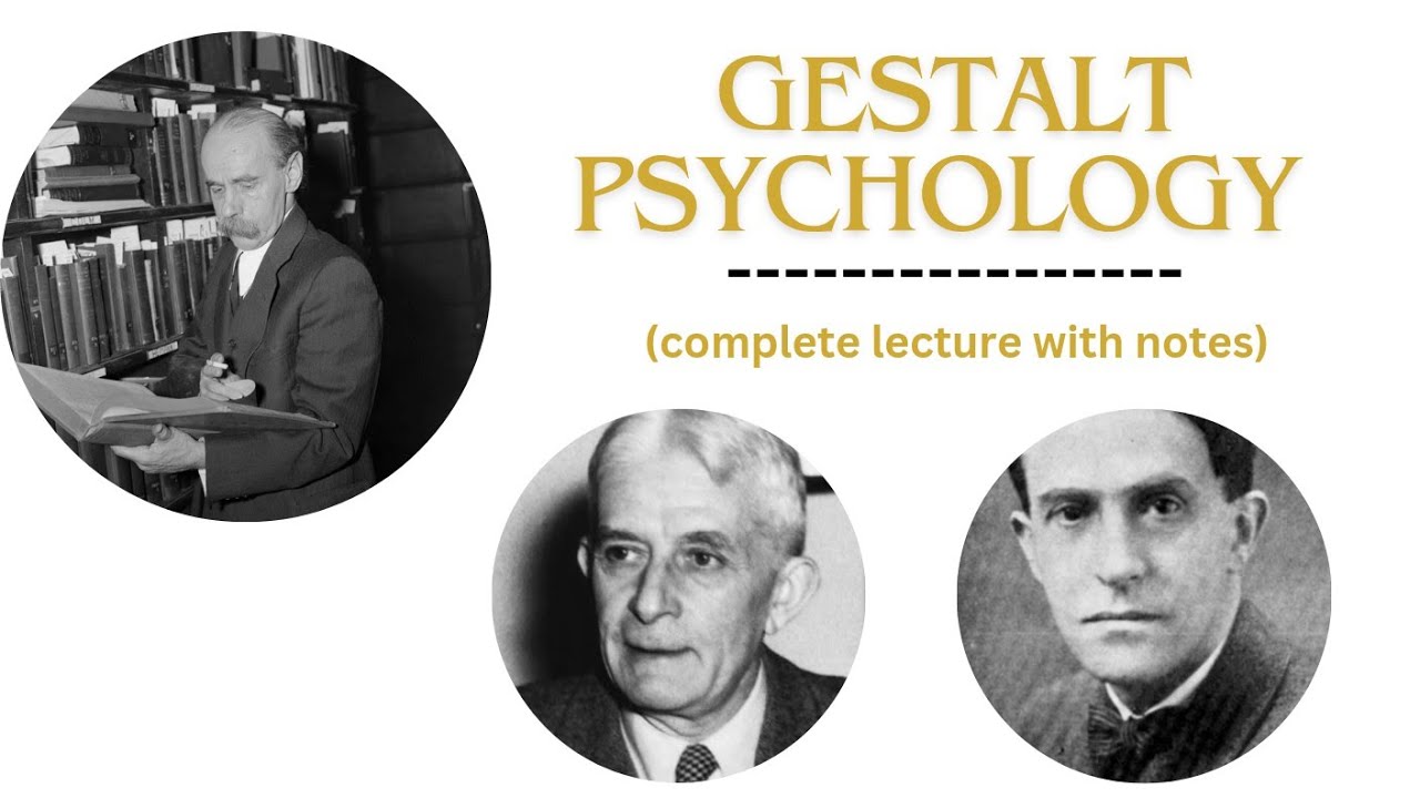 Gestalt Psychology | Theoretical Approaches Contributions of werthiemer ,Kohler & koffka #education