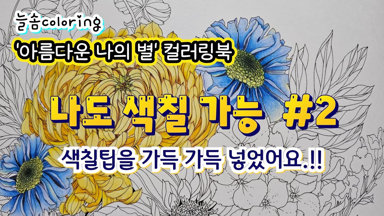 최강 컬러링북 나도 색칠 가능 #2 / 아름다운 나의 별 컬러링북 / 컬러링북 색칠팁을 가득 가득 넣었어요