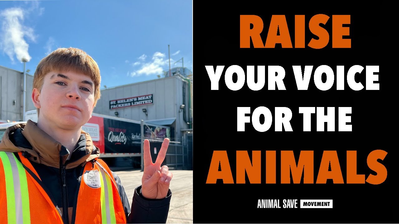 Bearing Witness for the First Time | Animal Save Movement