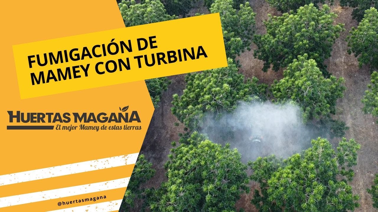Fumigación de huerto mamey | Turbina en acción