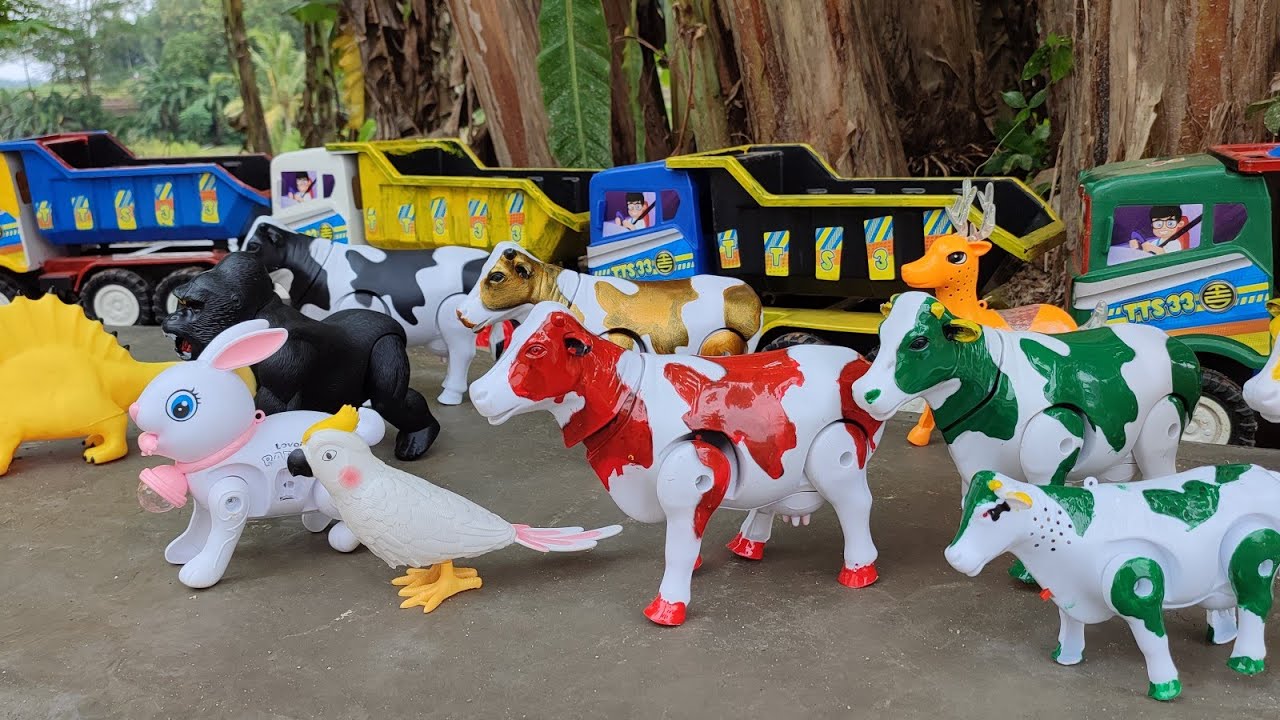 🔴Widih Truk oleng angkut sapi warna warni sapi lucu gajah rusa kingkong ayam burung ikan dinosaurus