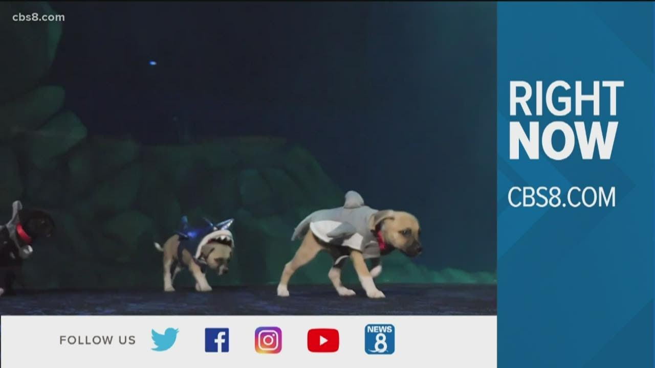 Right now at cbs8.com | What people are talking about in San Diego on October 30, 2020