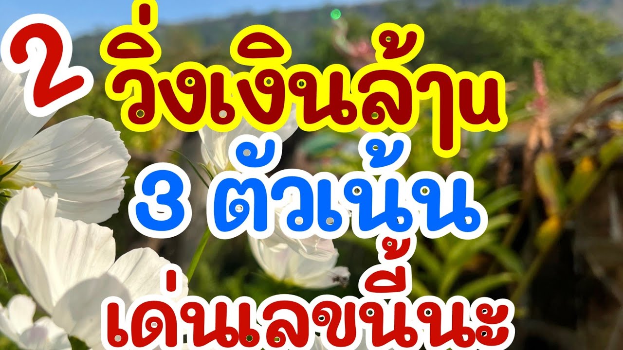 ด่วน!! วิ่งสนามบินน้ำ 3 ตัวเน้นๆ เด่นเลขนี้นะ 1 ก.พ. 69 [EP.7]