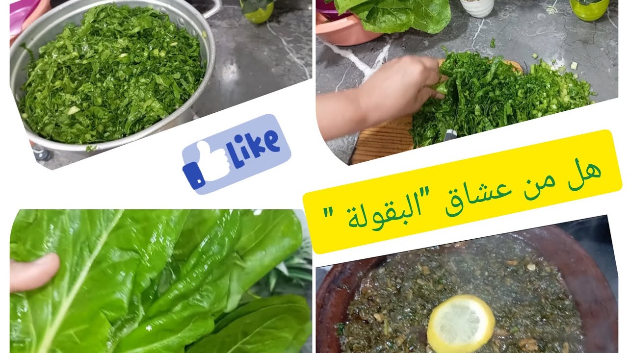البقولة أو ((السبانخ))  على الطريقة المغربية التقليدية غاية في اللذة